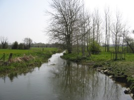 River Stour, nr Ashford